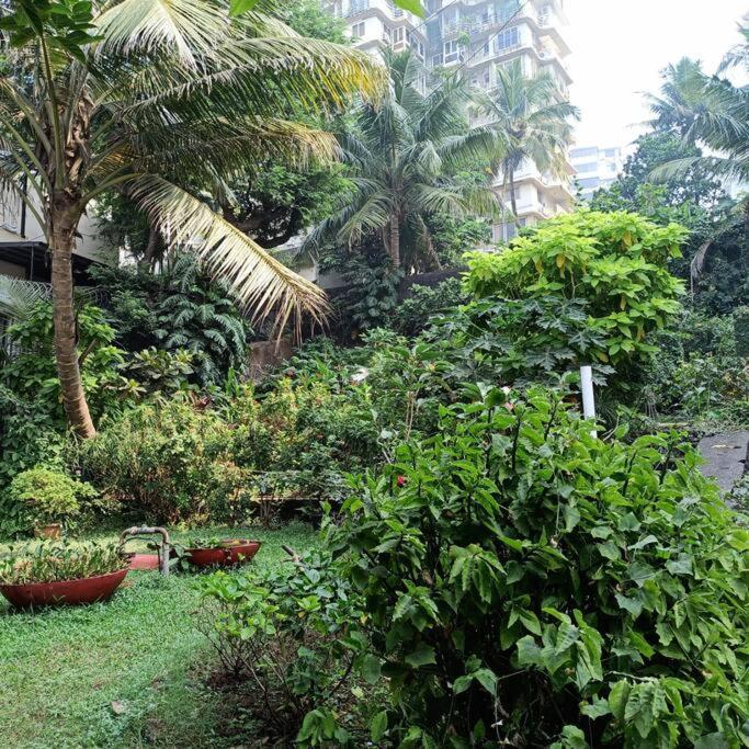 Cozy Private Ac Studio By The Sea Bandstand Bandra W Mumbai Nr Taj Lands Endアパートメント エクステリア 写真